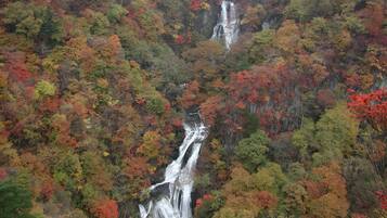 Une cascade entourée d’une forêt dense aux couleurs automnales.