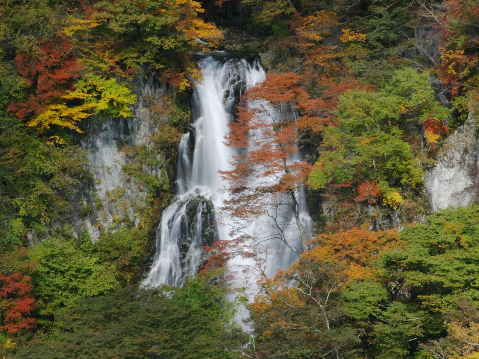 A waterfall surrounded by dense forest with autumn foliage.