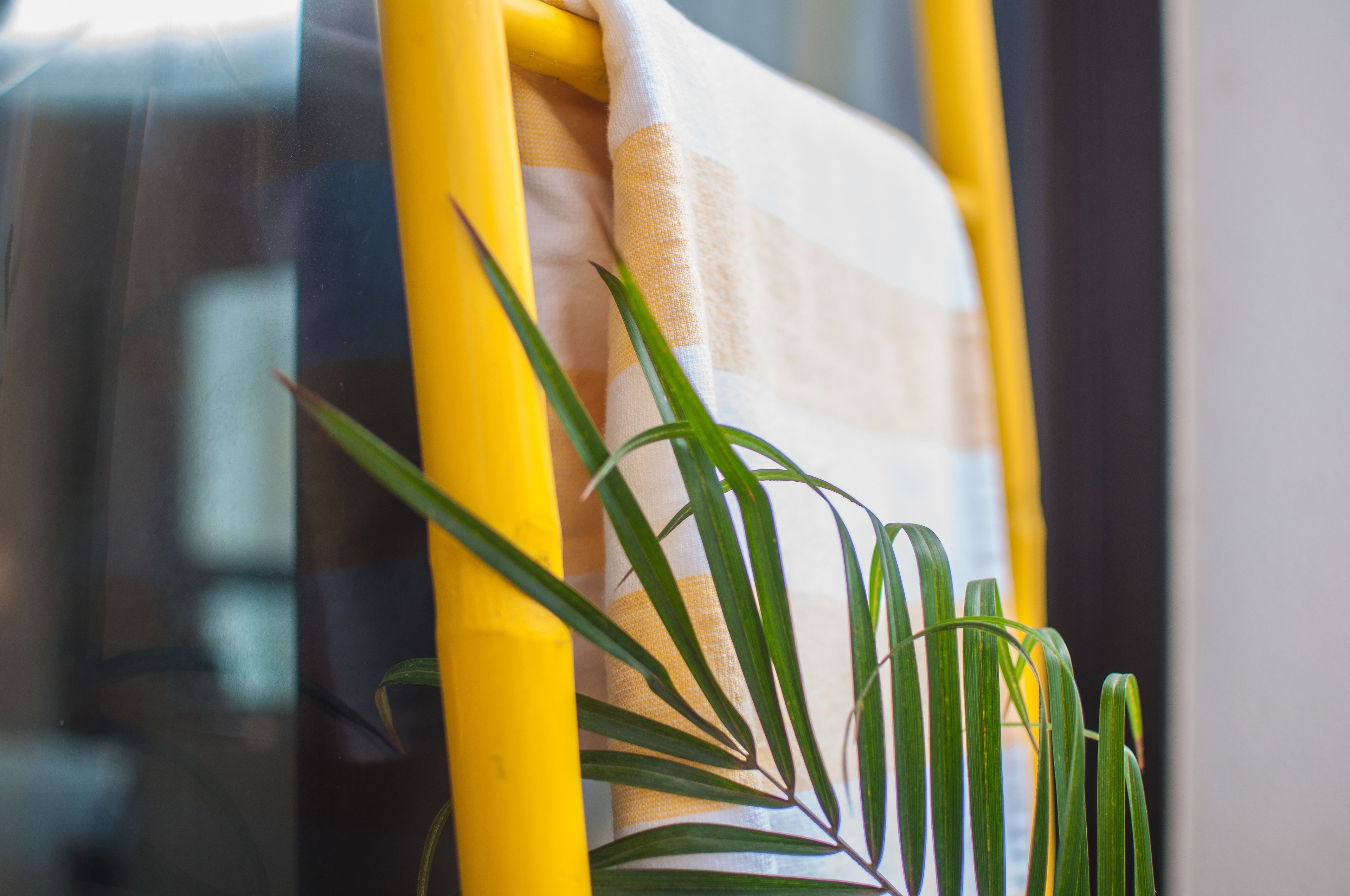 A yellow chair with a striped cushion and a plant with green leaves.