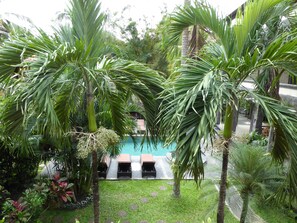 Un exuberante jardín con palmeras, una piscina y un camino.
