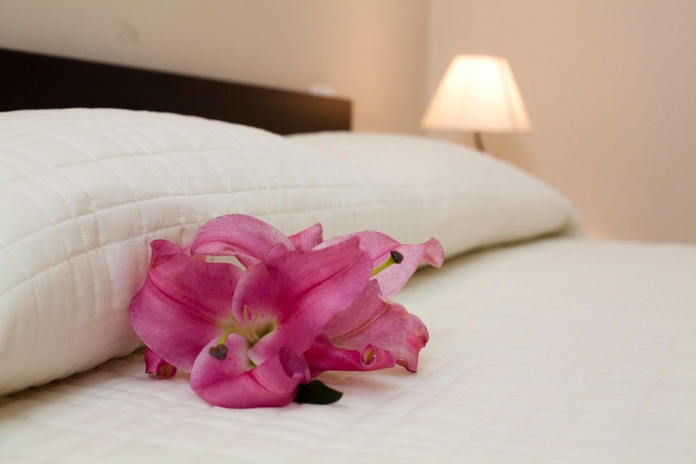 Foto - Antiche Volte