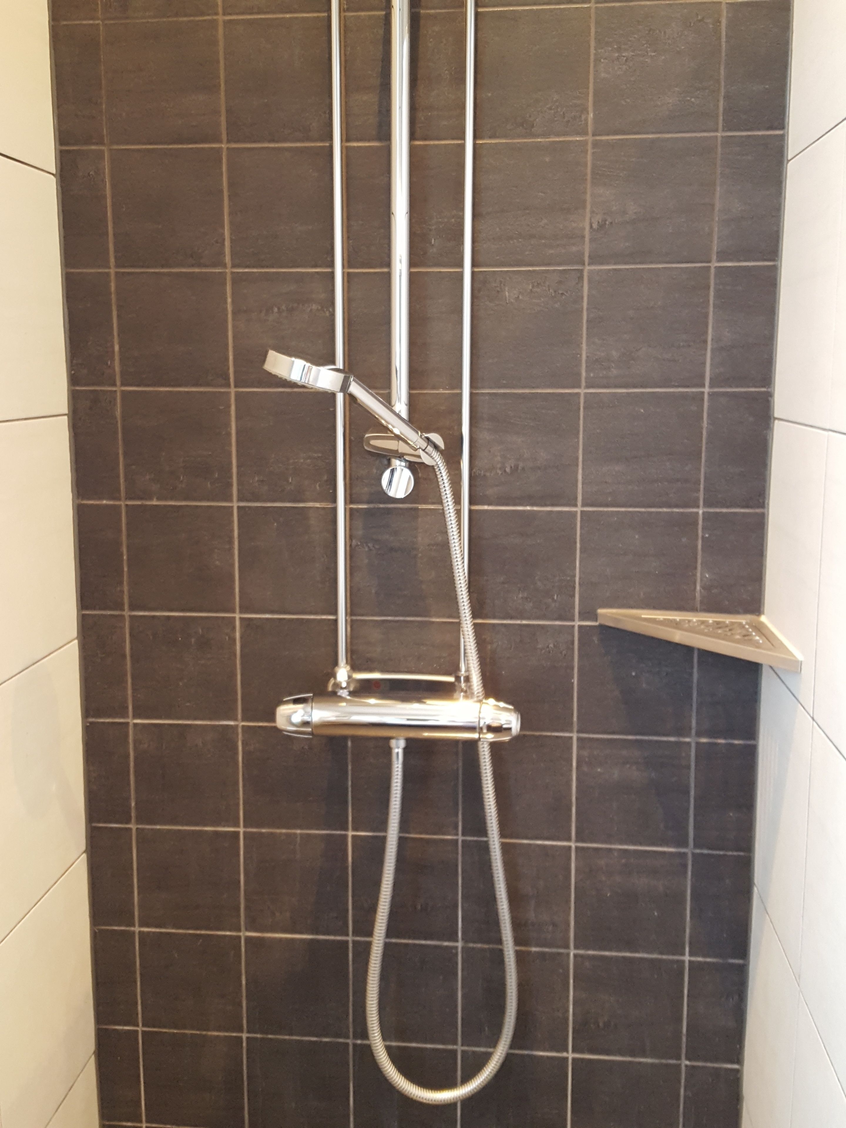 A shower with a handheld showerhead and a fixed showerhead, mounted on a wall with dark tiles.