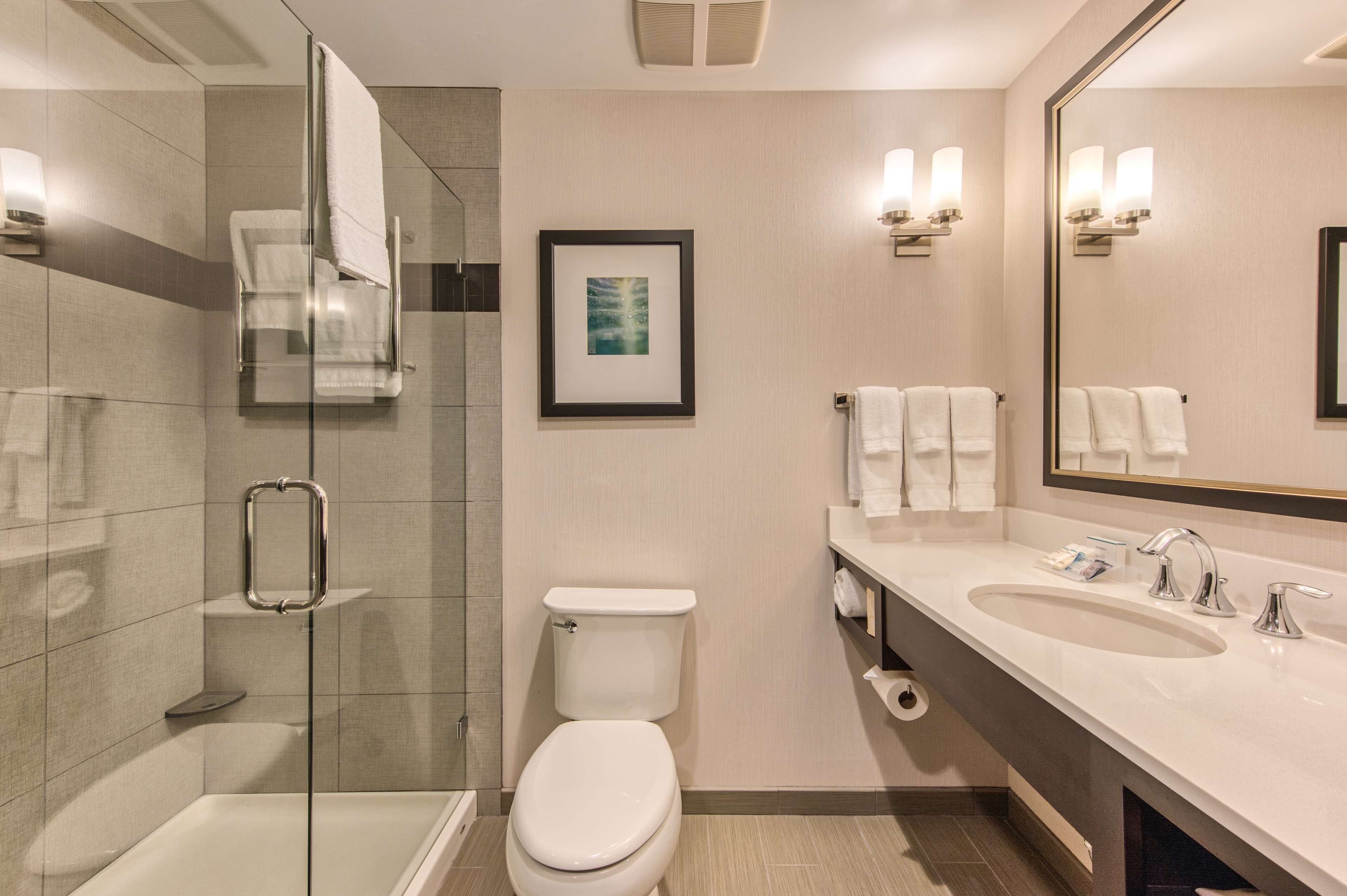 A modern bathroom with a glass-enclosed shower, a toilet, a sink with a mirror, and a framed picture on the wall.