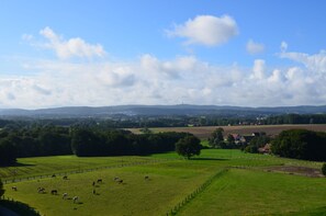 A rural landscape with a fenced field, a few horses grazing, and distant houses.