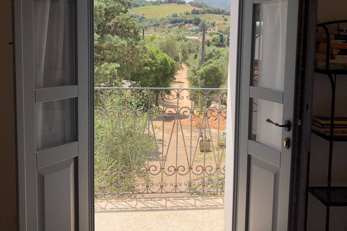 An open door leading to a balcony with a metal railing, a view of a vineyard, and a shelf with books.