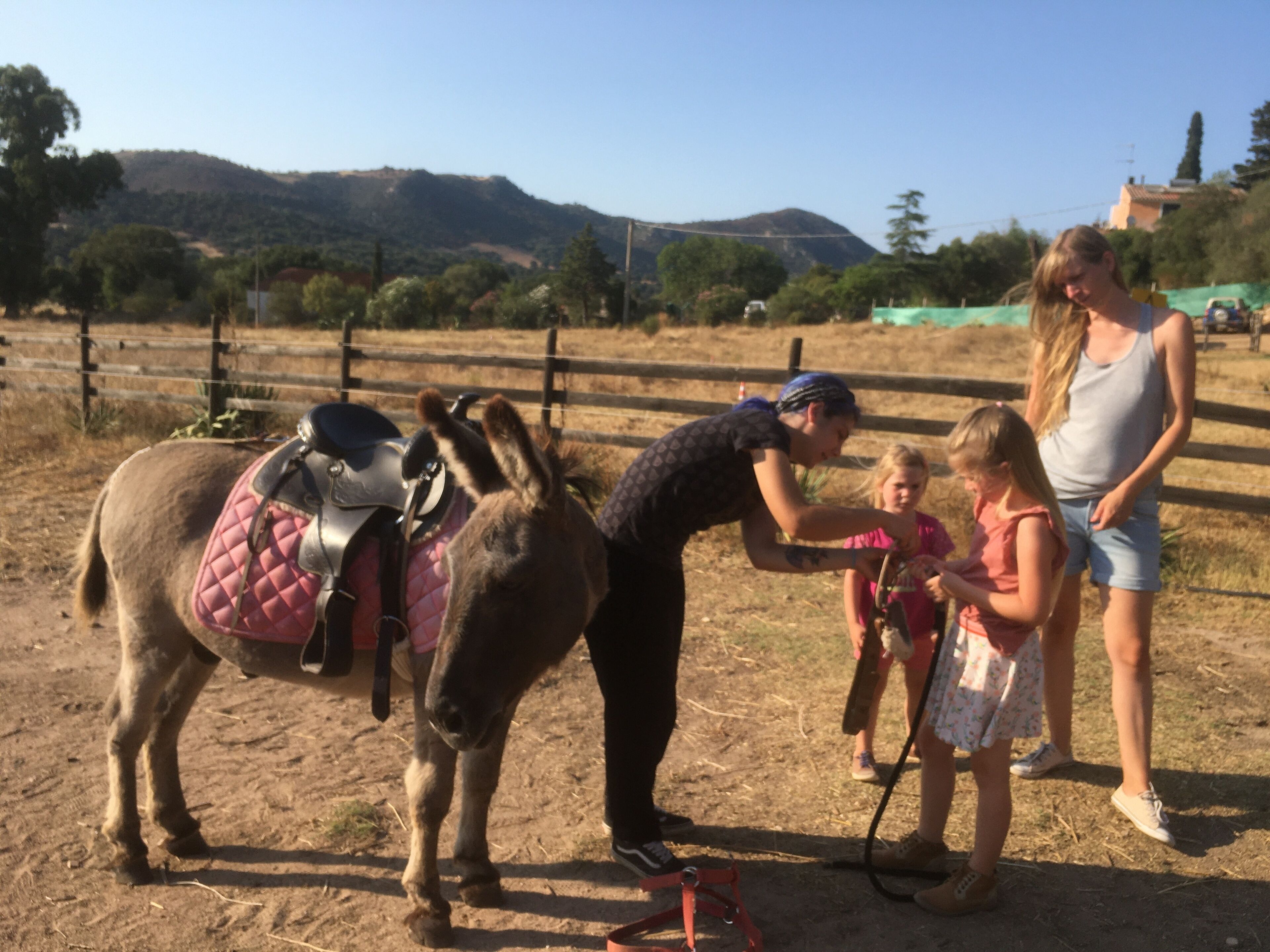Un burro con silla de montar en un área cercada, con gente y una montaña al fondo.