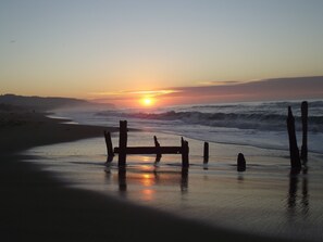 A beach scene with a wooden bench and driftwood at low tide.