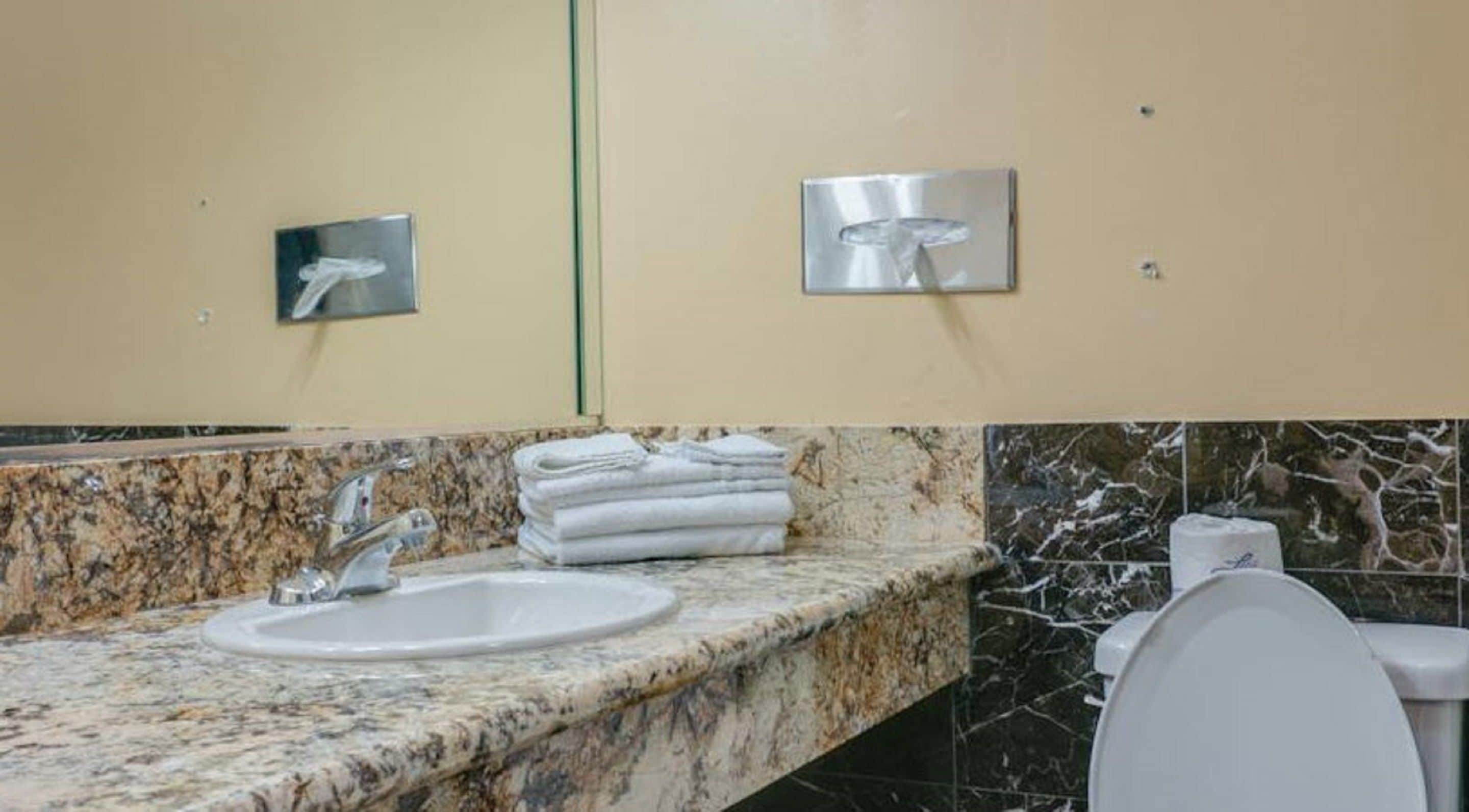 Une salle de bain avec un comptoir en granit, un lavabo et des toilettes.