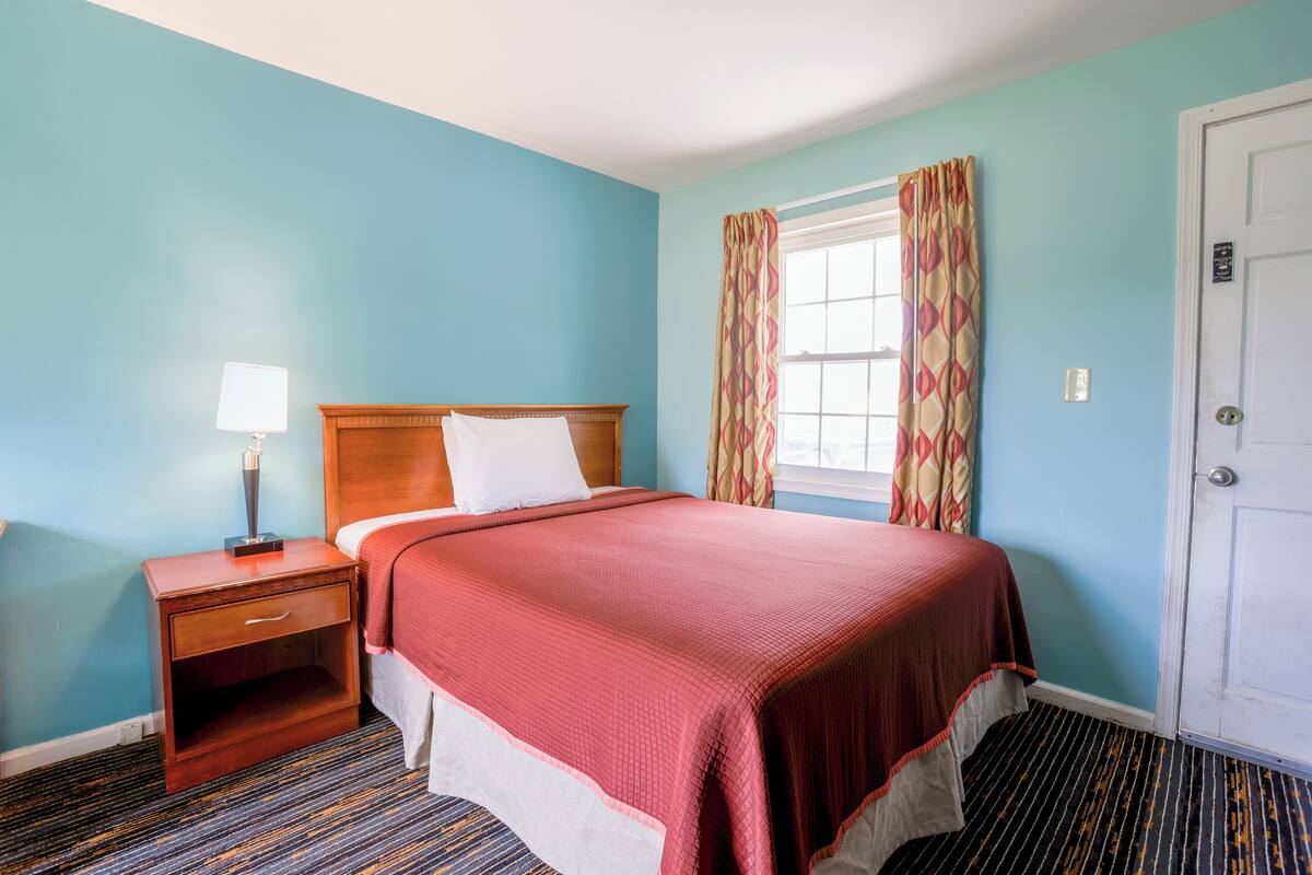 A hotel room with a single bed, a nightstand with a lamp, a window with curtains, and a door.