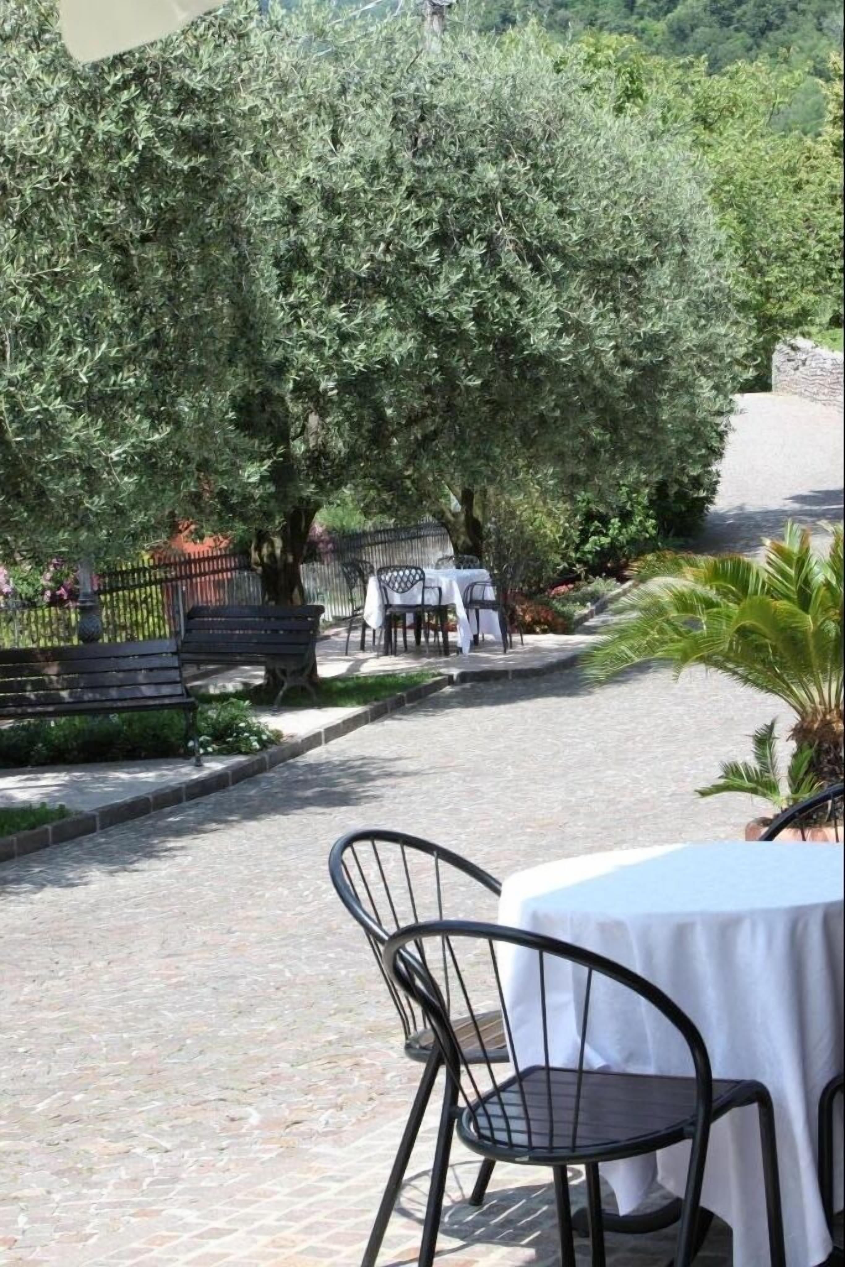 Une cour avec une table et des chaises blanches, entourée de verdure et d’un palmier.