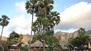 Un resort con cabañas de techo de paja, una zona de piscina y abundante vegetación tropical.