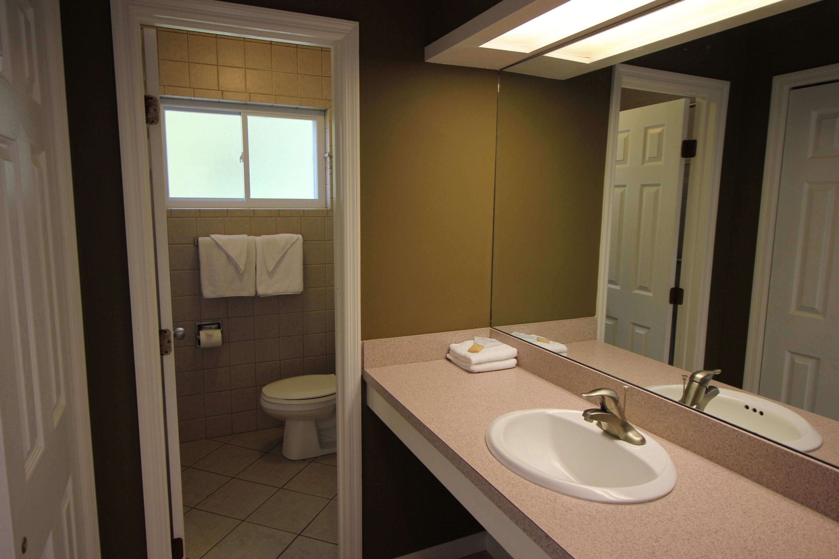 A bathroom with a toilet, sink, and mirror.