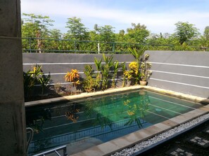 Outdoor pool - Villa Dencarik (Banjar)