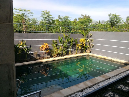 室外游泳池. 丹卡里克别墅