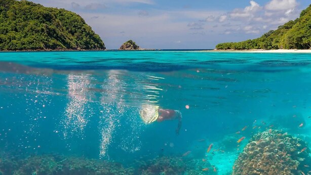 Una playa tropical con aguas color turquesa y un nadador en primer plano.