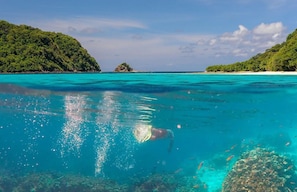 Ecotours - Alama Sea Village Resort (Ko Lanta)