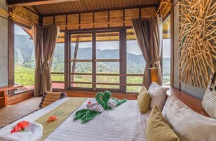 Suite with Garden View | Vistas desde la habitación