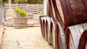 A row of wooden barrels with metal bands, a wicker basket with plants, and a gravel path. - Boutique Hotel Postgården (Holsted)