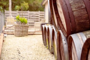 Chambre Affaires, 1 trĂšs grand lit | Terrasse/Patio