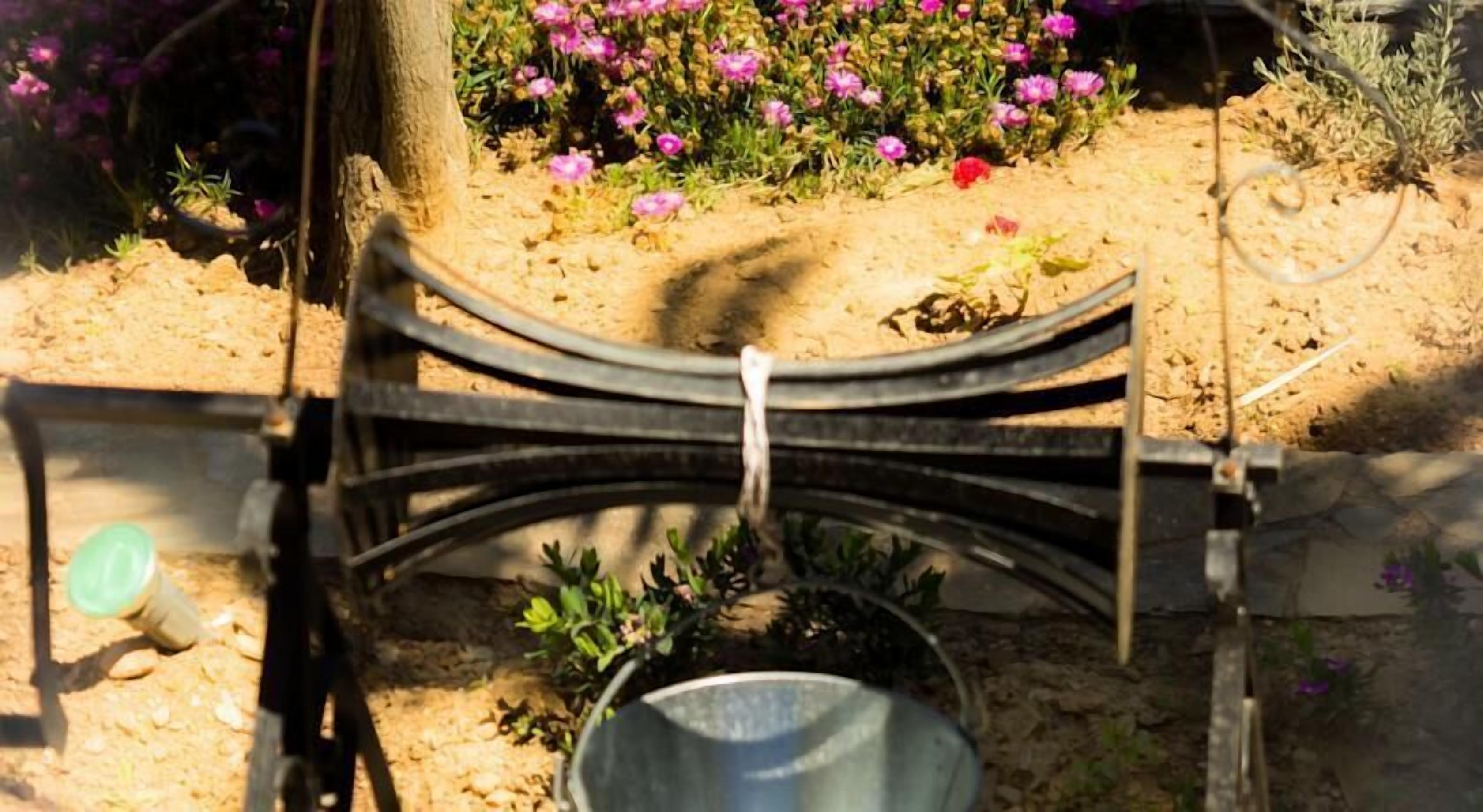 Un jardín con una estructura metálica, posiblemente una enrejada o soporte, y un cubo de metal en el suelo.