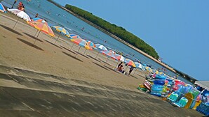 A beach with umbrellas and inflatable toys. - Aoshima Guesthouse Hooju - Hostel (Miyazaki)