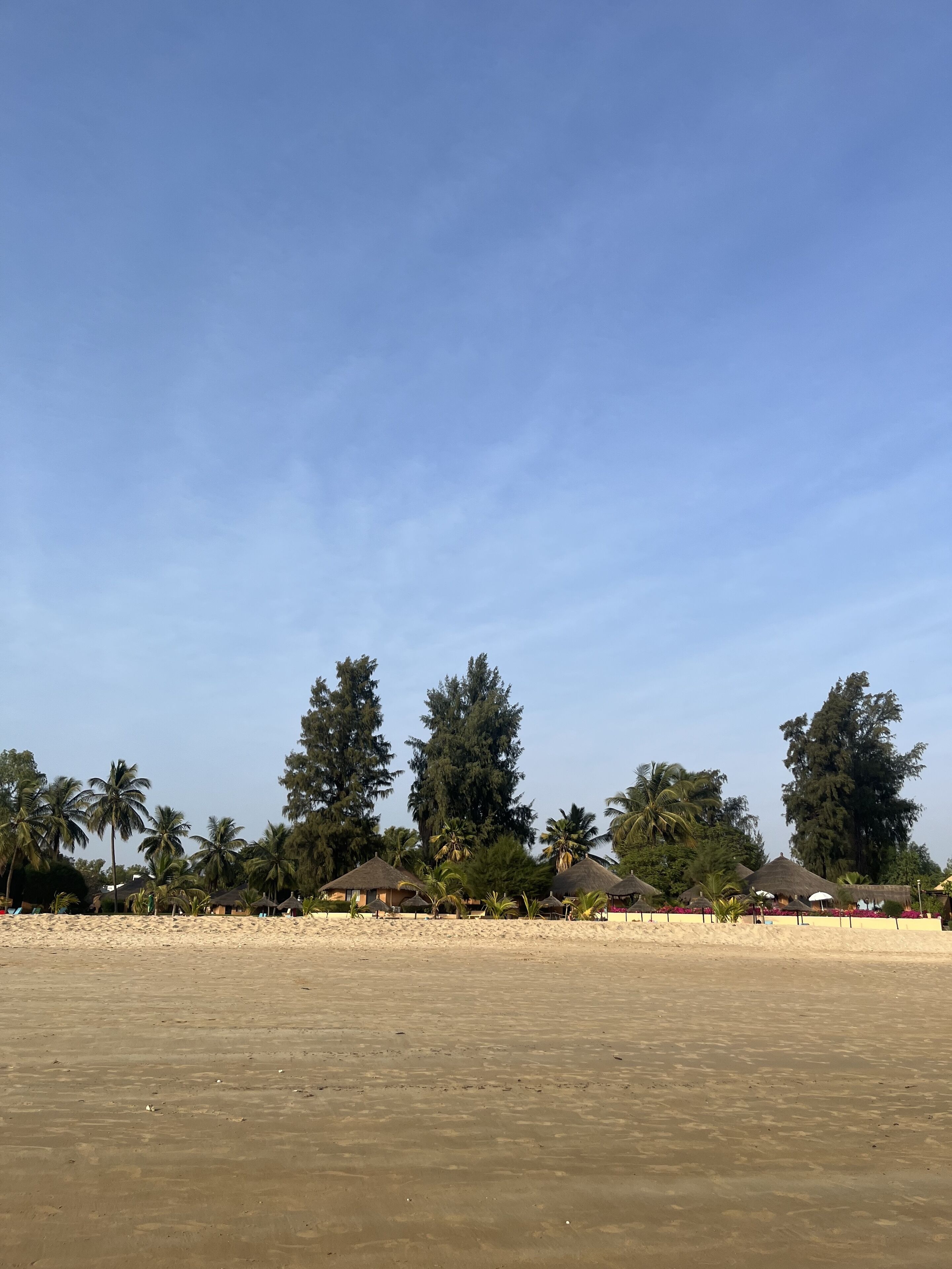 A beach with thatched-roof huts and palm trees.