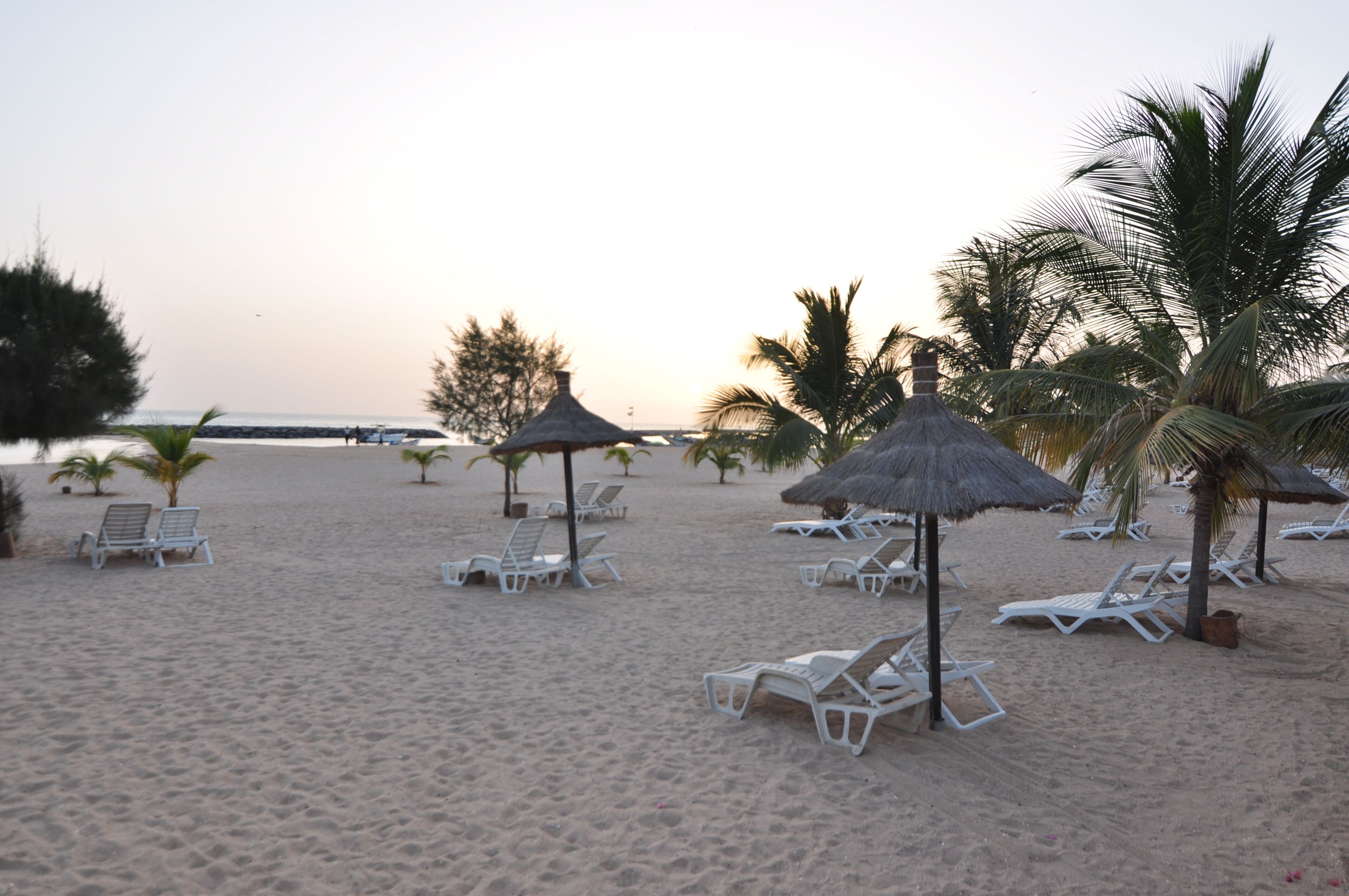 A beach with white lounge chairs and thatched umbrellas, palm trees, and a clear sky.