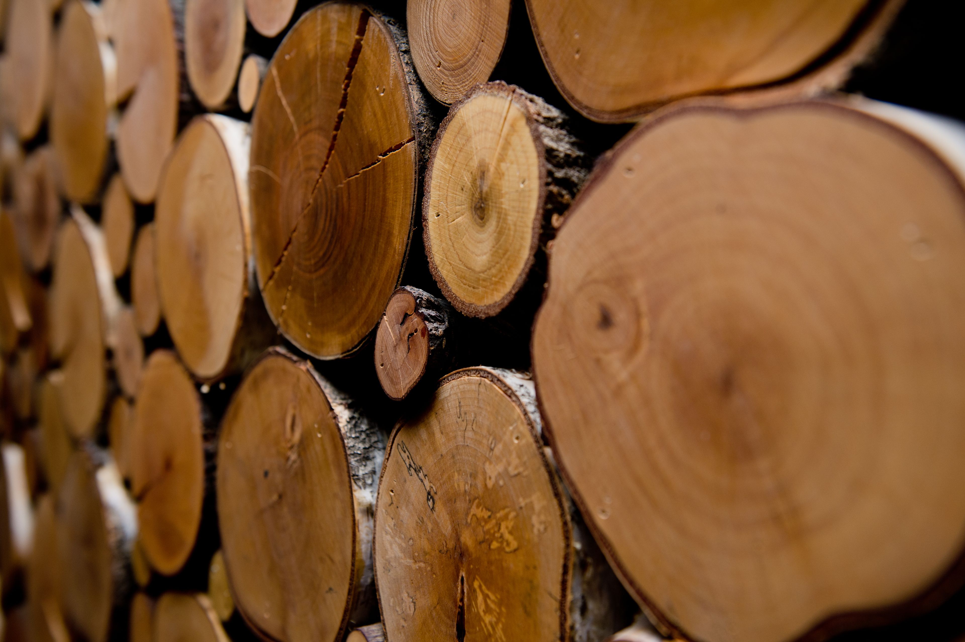 Foto - Hotel Säntis