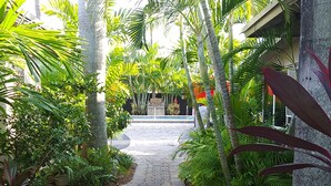 A paved pathway flanked by lush tropical plants and palm trees, leading to a building with a stone facade.