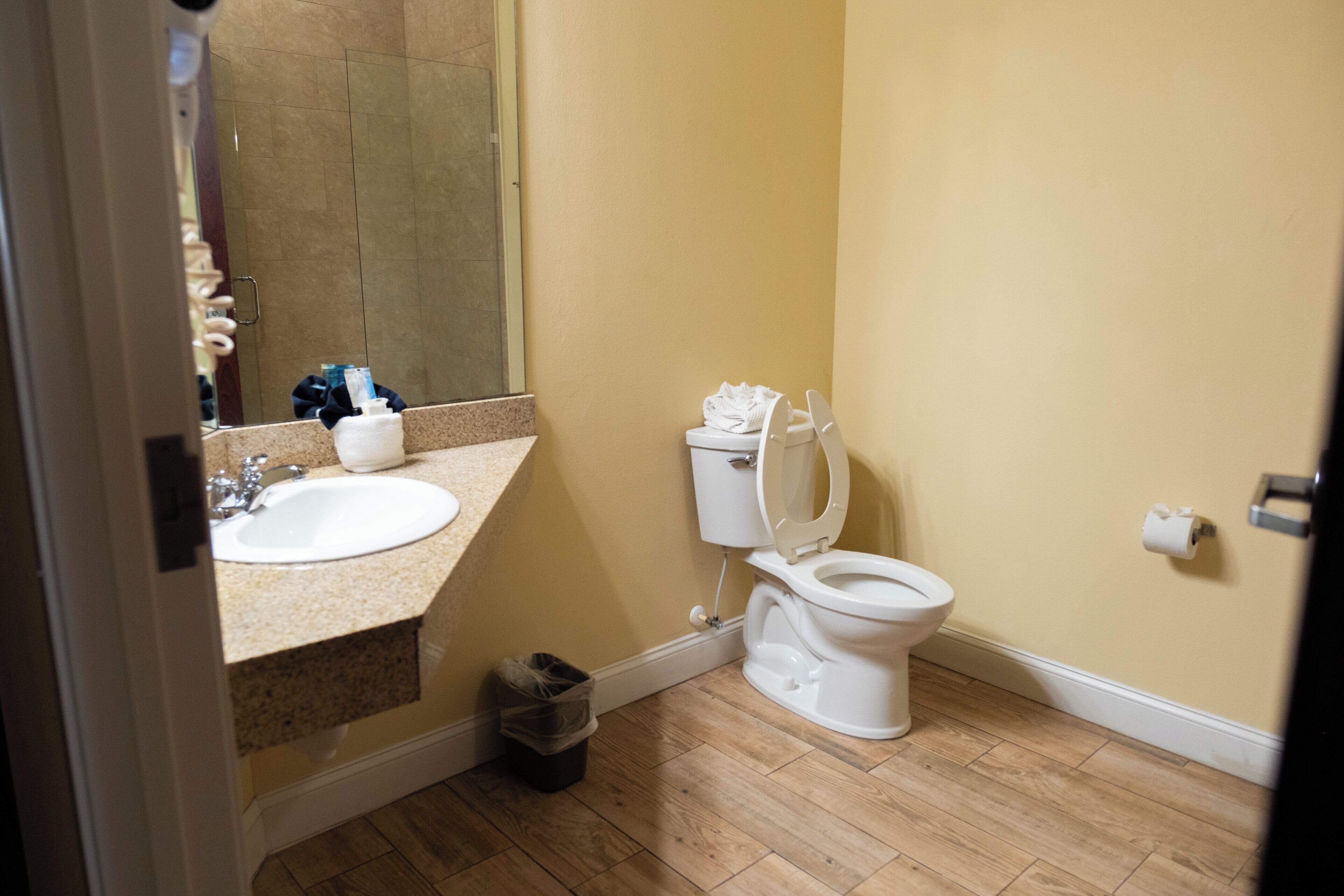 A bathroom with a sink, toilet, and mirror.