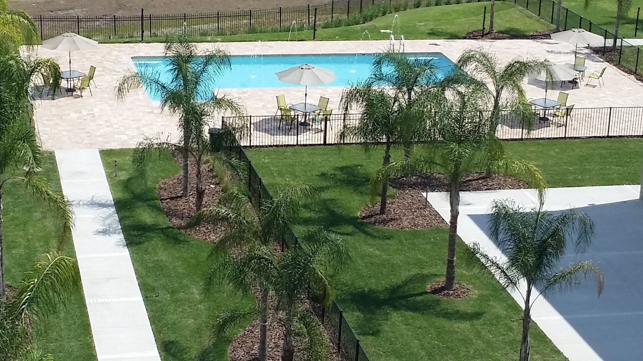 A pool area with a rectangular pool, surrounded by a paved deck and a black fence. There are several palm trees and chairs around the pool.