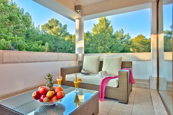 Terraza o patio