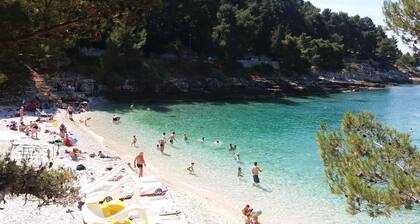 Boutique Hotel Villa Vulin