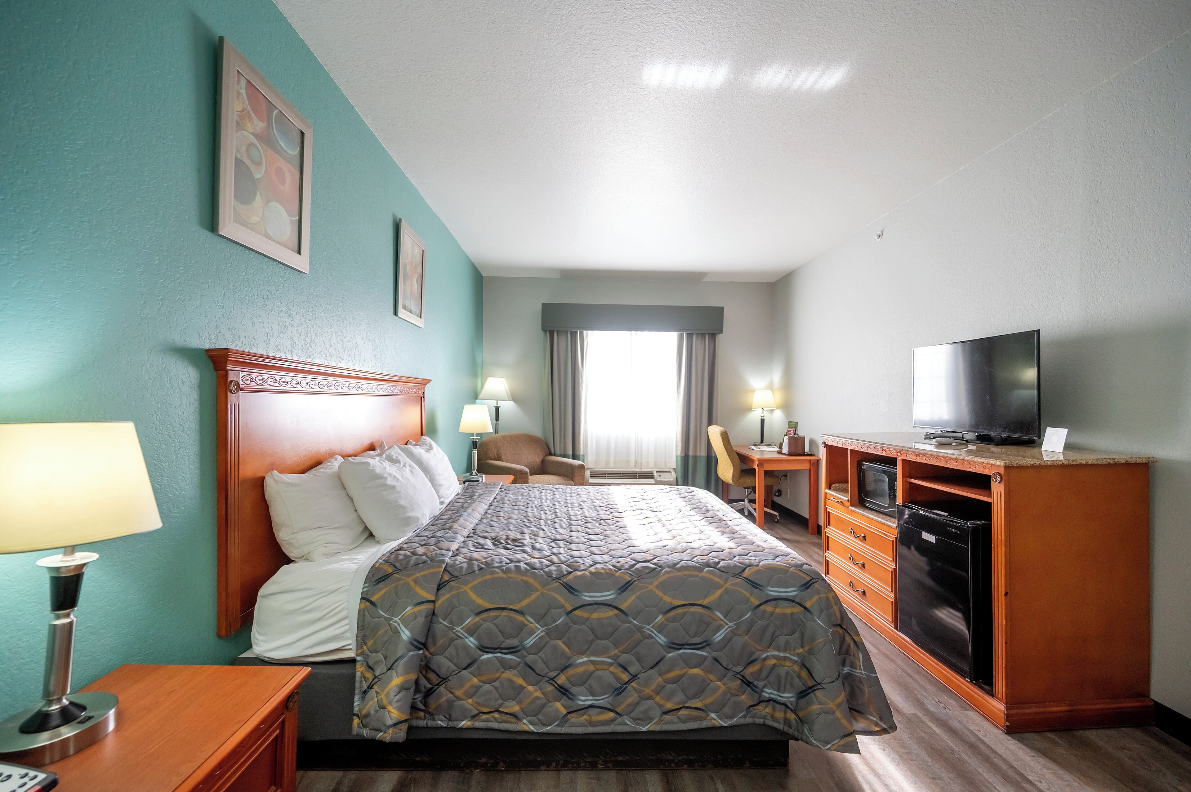 A hotel room with a bed, a desk, a television, and a microwave.