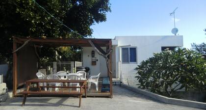 Holiday House Ryukyuan