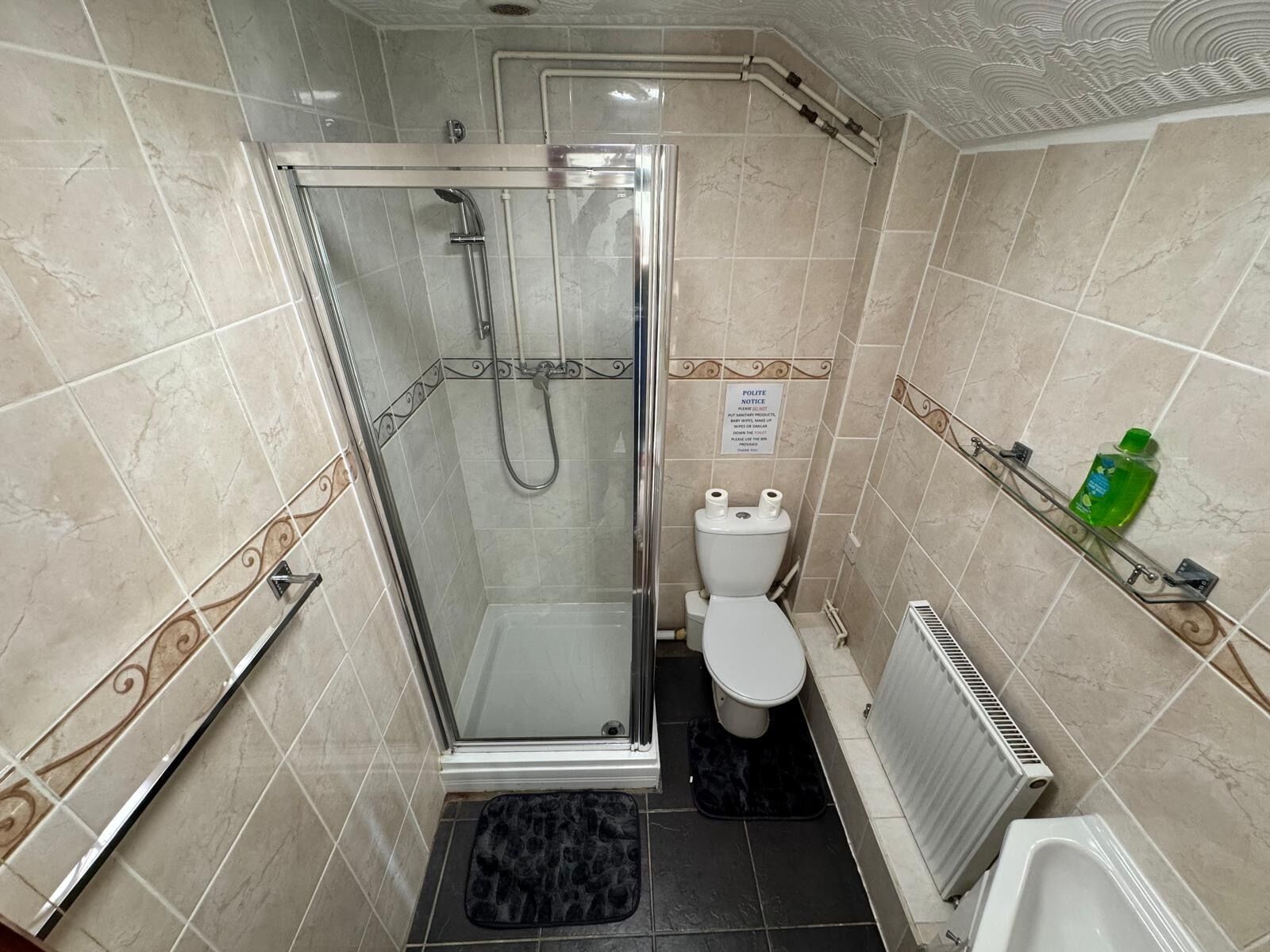 A compact bathroom with a glass-enclosed shower, a toilet, and a radiator.