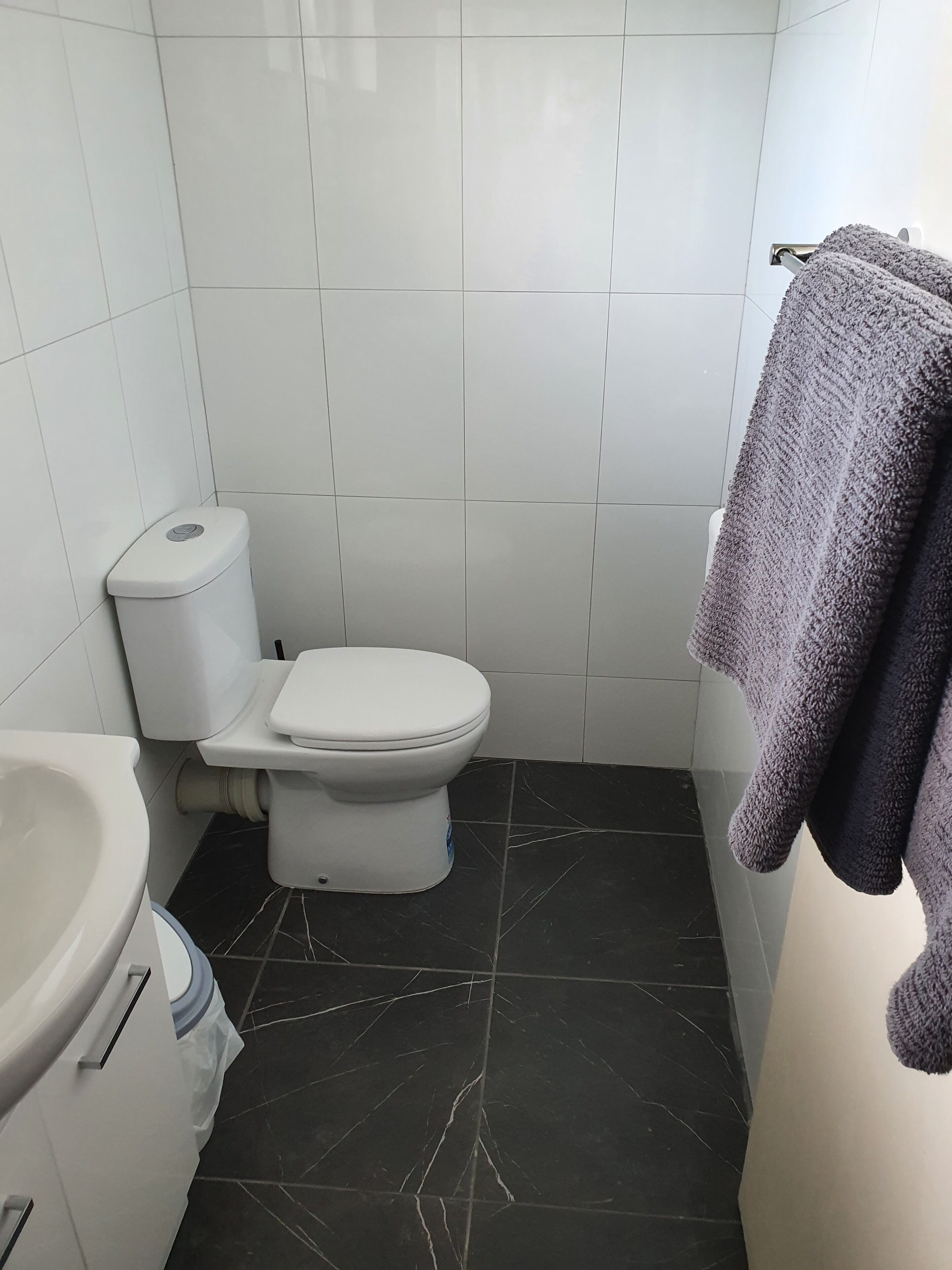 Une salle de bain équipée de toilettes, d’un lavabo et d’un porte-serviettes.