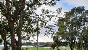 Una zona enjardinada amb un arbre gran, un panell informatiu i un camp de gespa al fons.