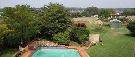 A swimming pool surrounded by a grassy yard with trees and a shed.