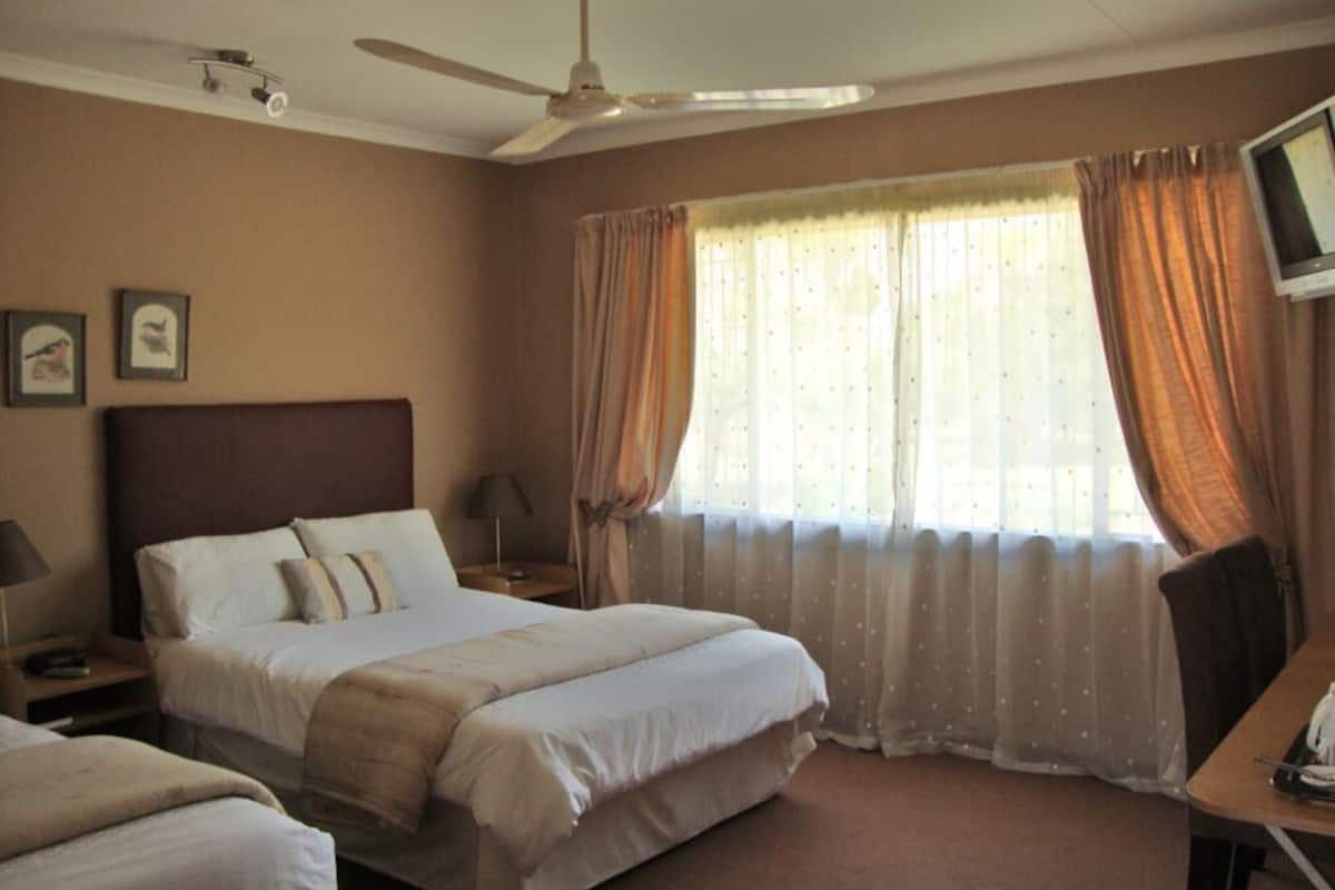 Habitació d'hotel amb un llit gran, un escriptori, una cadira, una televisió i un ventilador de sostre.