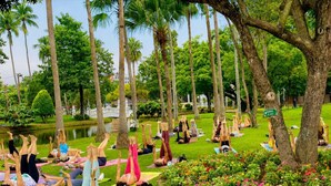 Un grupo de personas practicando yoga en un entorno al aire libre con árboles y un estanque.