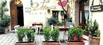 B&B Camere La Vite