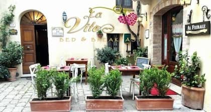 B&B Camere La Vite
