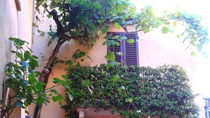 Unclassified image, 5 of 44, button - B&B Camere La Vite (Pienza)
