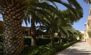 Courtyard - Residence Oasis (Alghero)