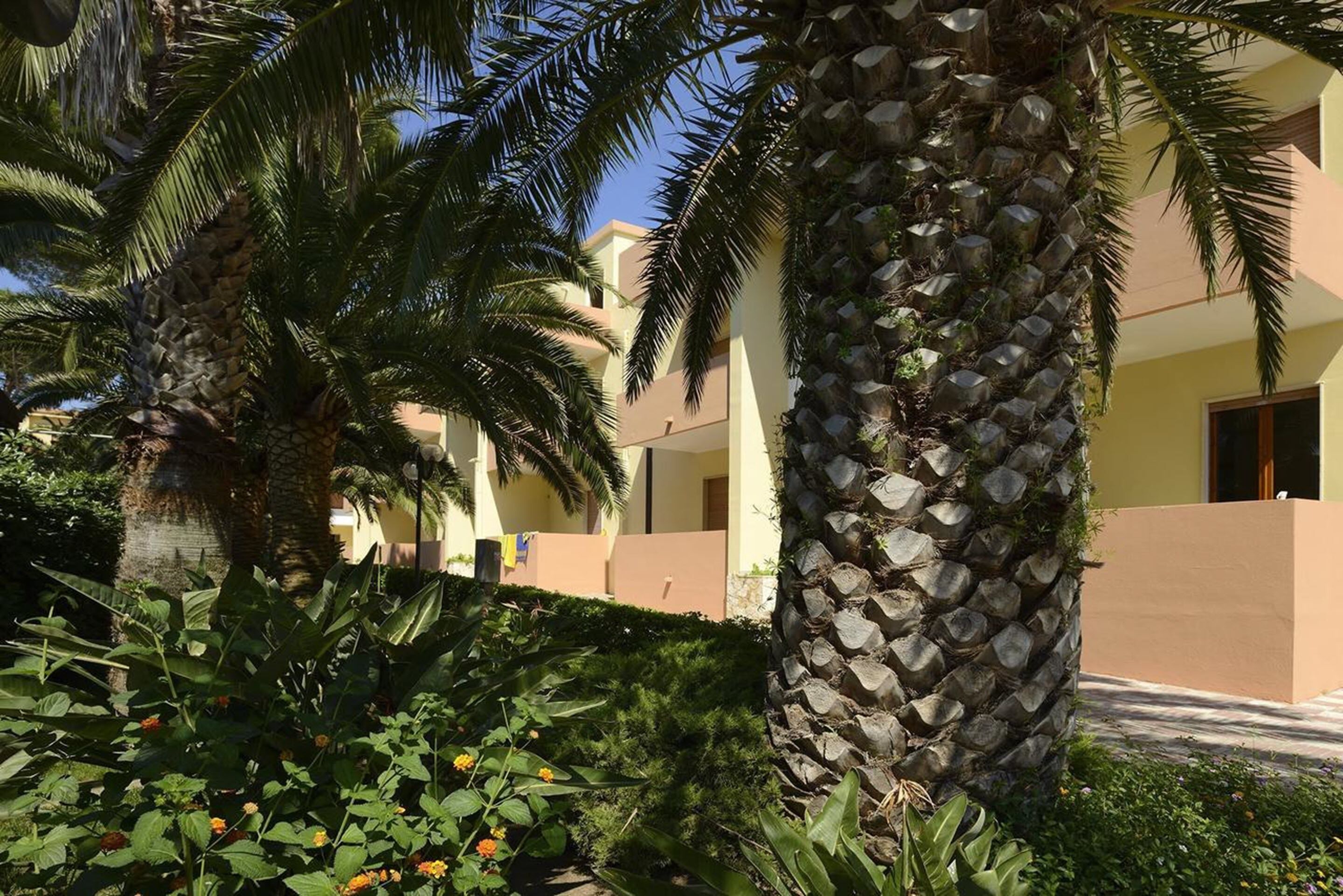 Ein Hotel mit Palmen und einem gepflegten Garten.