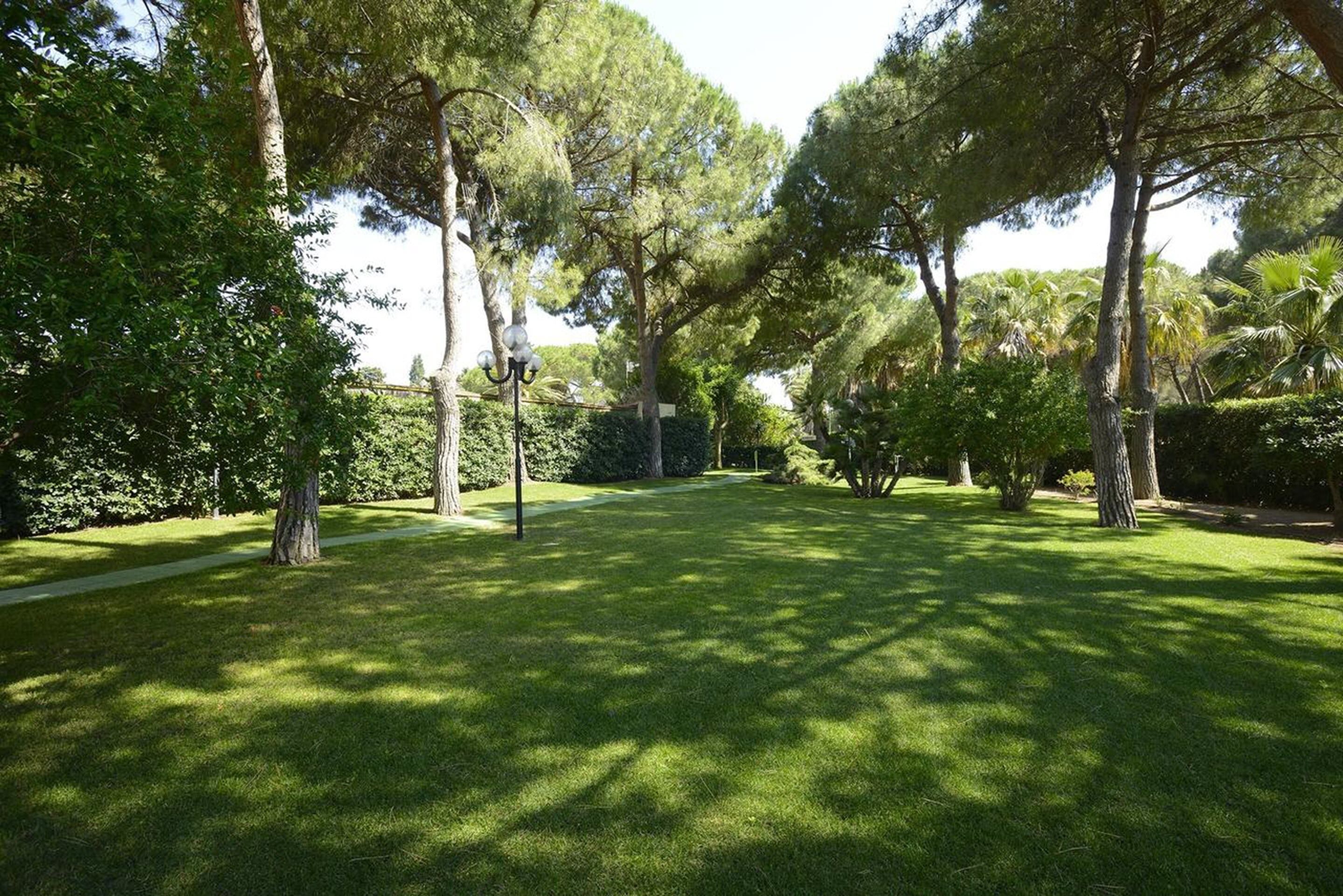 Un parque bien cuidado, con diversos árboles, un sendero despejado y un farol.