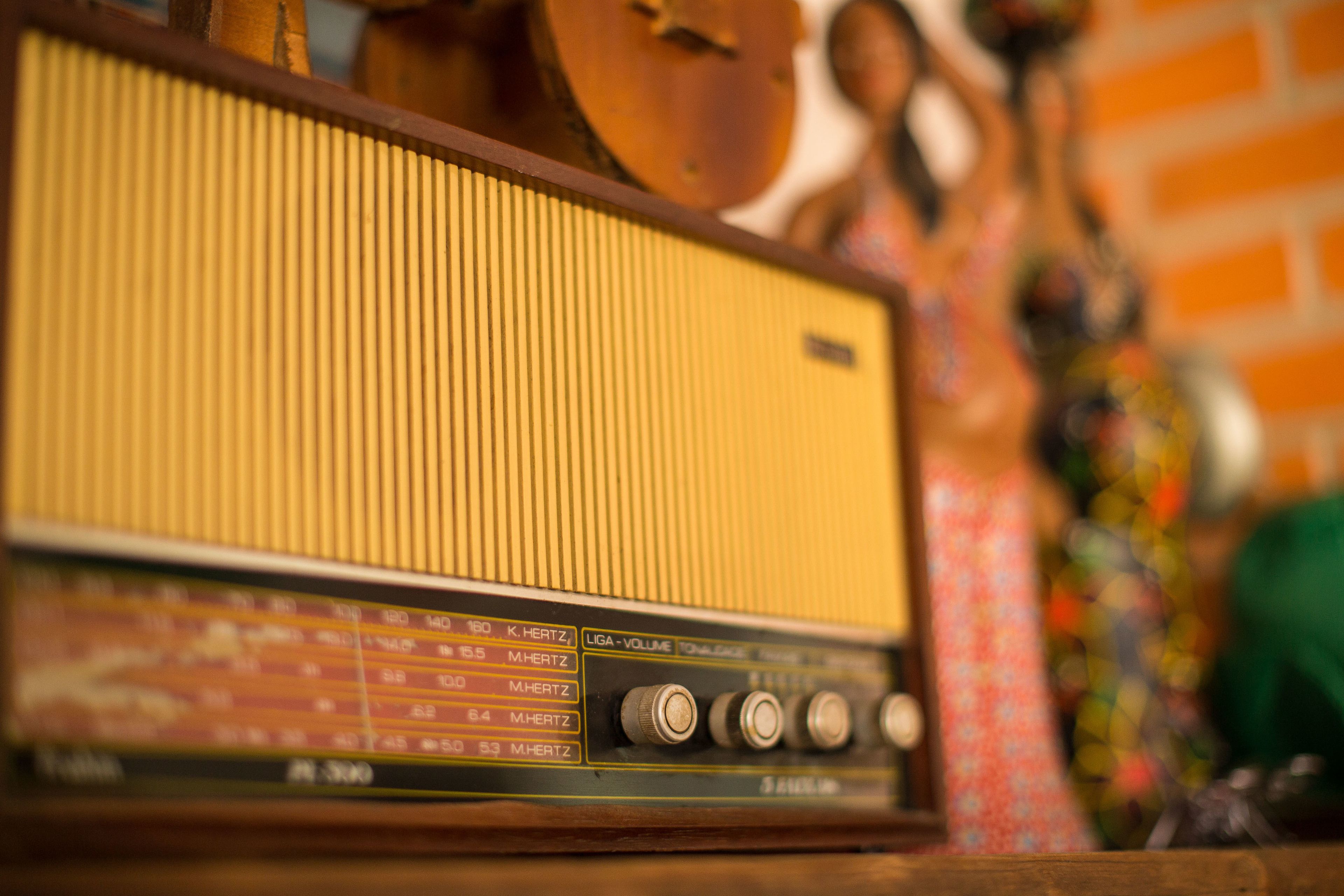 Foto - Geckos Hostel