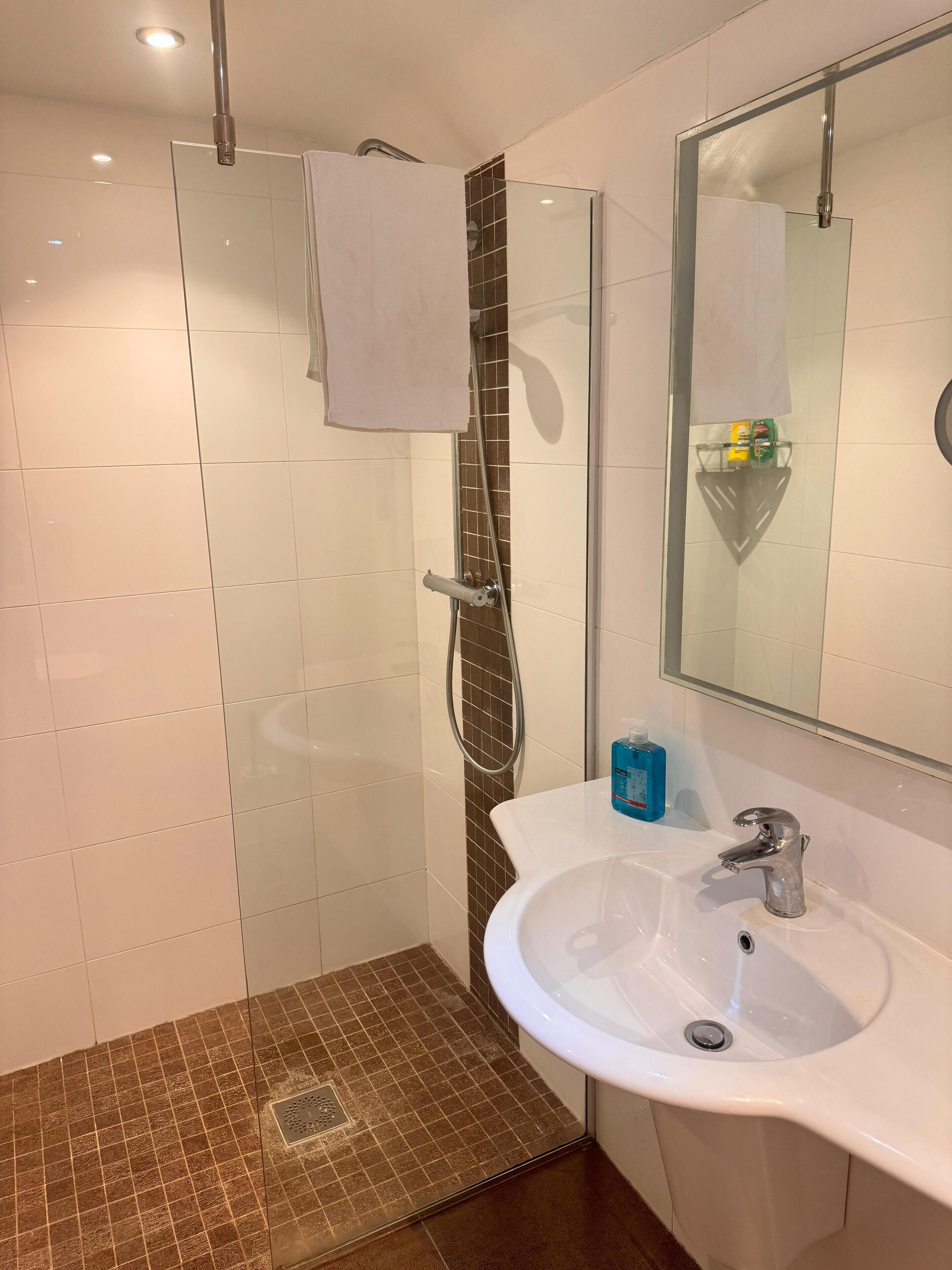 A bathroom with a glass shower enclosure, a white sink, and a mirror.