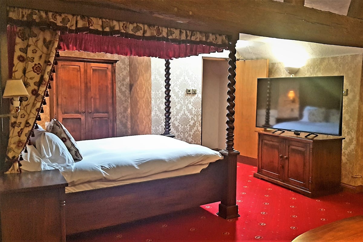 A four-poster bed with a canopy, a television on a stand, and a red carpeted floor.